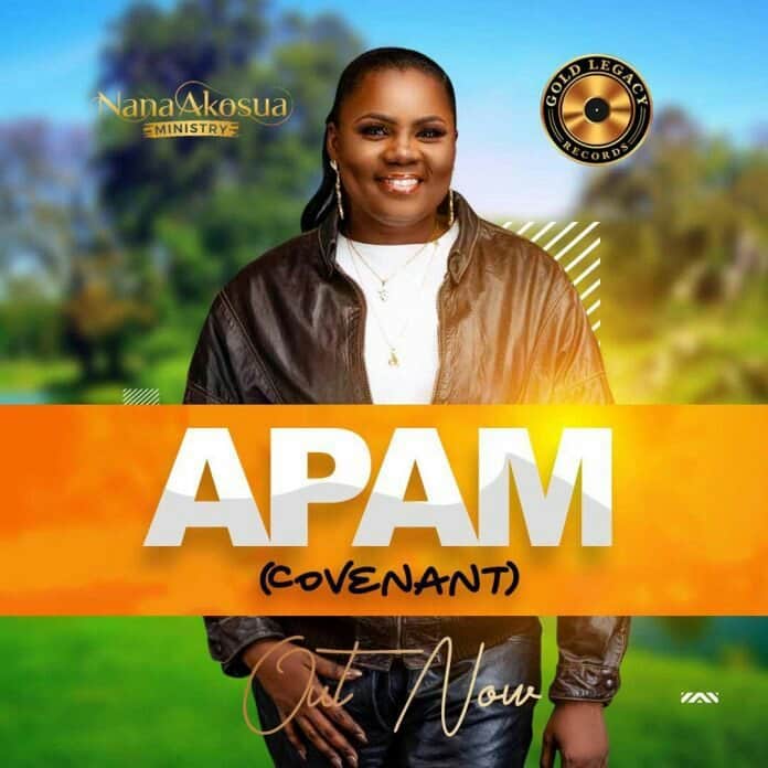 DOWNLOAD MP3: Nana Akosua – Apam